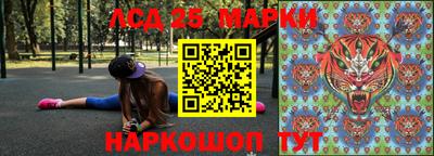 крисы Пенза