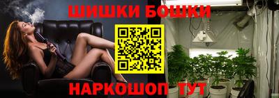крисы Пенза