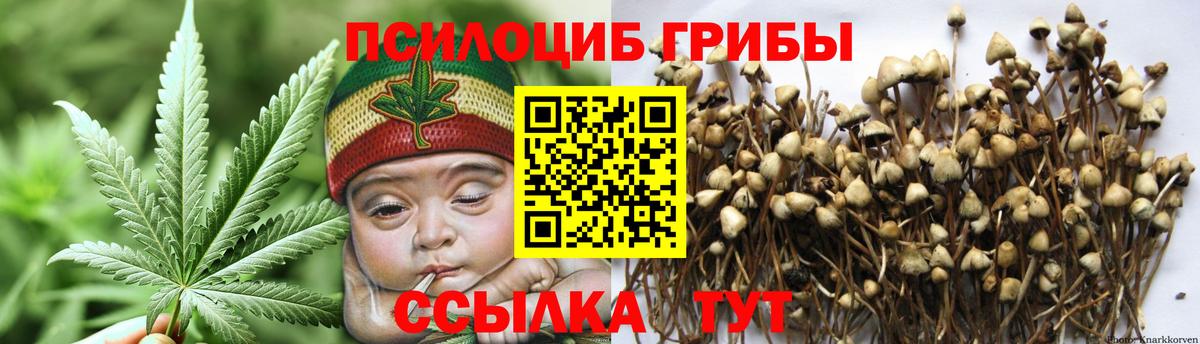 Псилоцибиновые грибы Psilocybe  Вход с VPN  наркотики  Северск  Галлюциногенные грибы прущие грибы 
